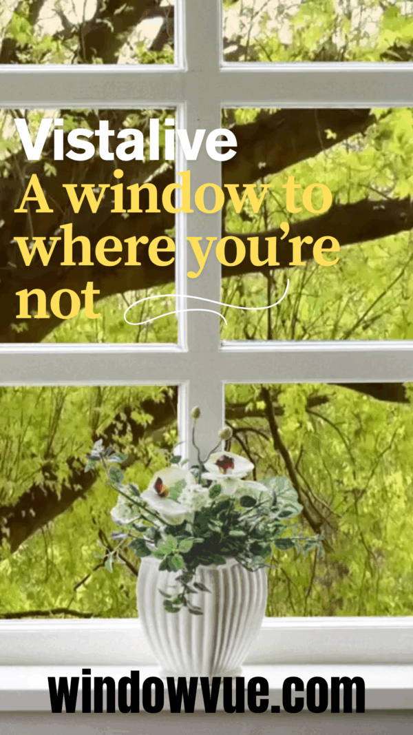 WindowVue Vista Live Window